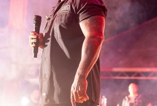 Descrição da Imagem 1